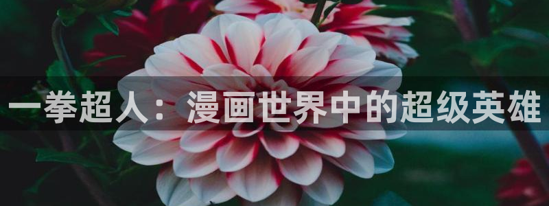 酷漫屋漫画免费漫画页面在线看漫：一拳超人：漫画世界中的超级英雄